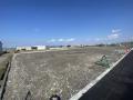 八代市岡町谷川土地